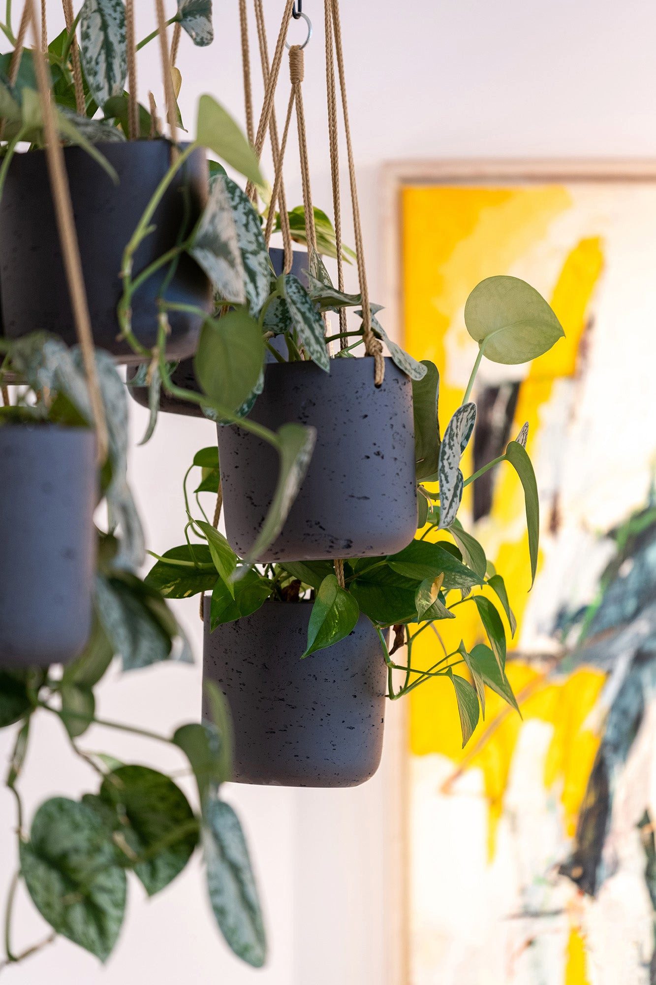 finestgreen Blumenampel Hanging Charlie, Frostfest & UV-beständig – für Innen- und Außenbereich