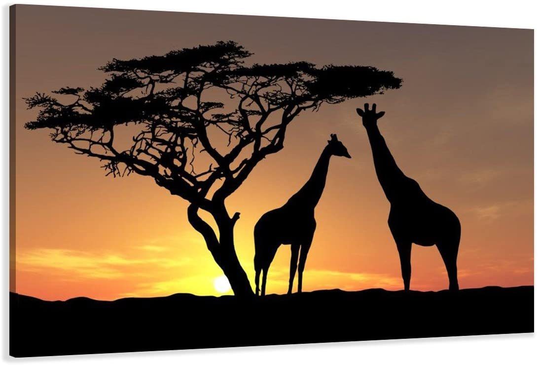 Visario Bild Bild auf Leinwand fertig günstig online kaufen