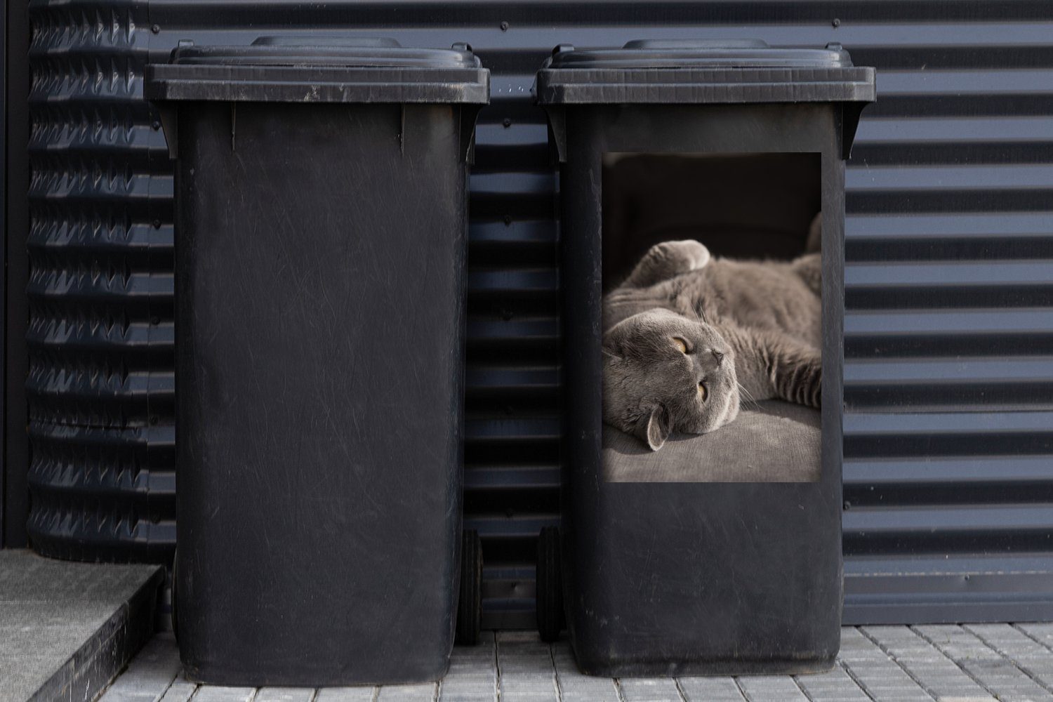 Grau Mülltonne, Wandsticker - St), Tier Abfalbehälter - Container, Katze MuchoWow (1 Sticker, Mülleimer-aufkleber,