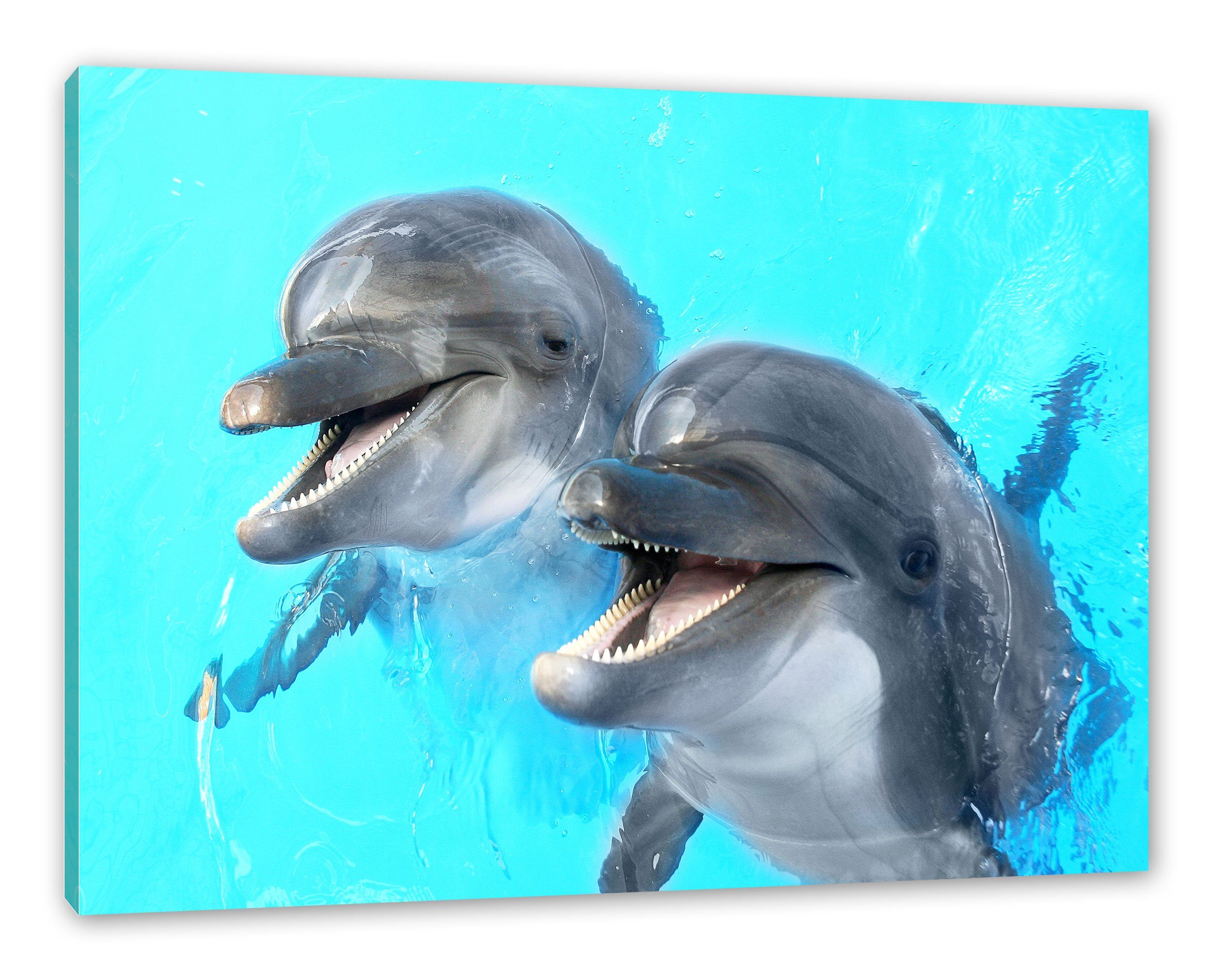Pixxprint Leinwandbild Delfinpaar, Delfinpaar (1 St), Leinwandbild fertig bespannt, inkl. Zackenaufhänger