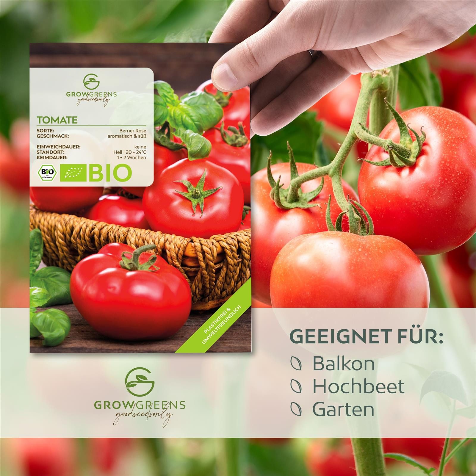 Growgreens Gemüsesamen BIO Tomatensamen (Berner Rose) günstig online kaufen