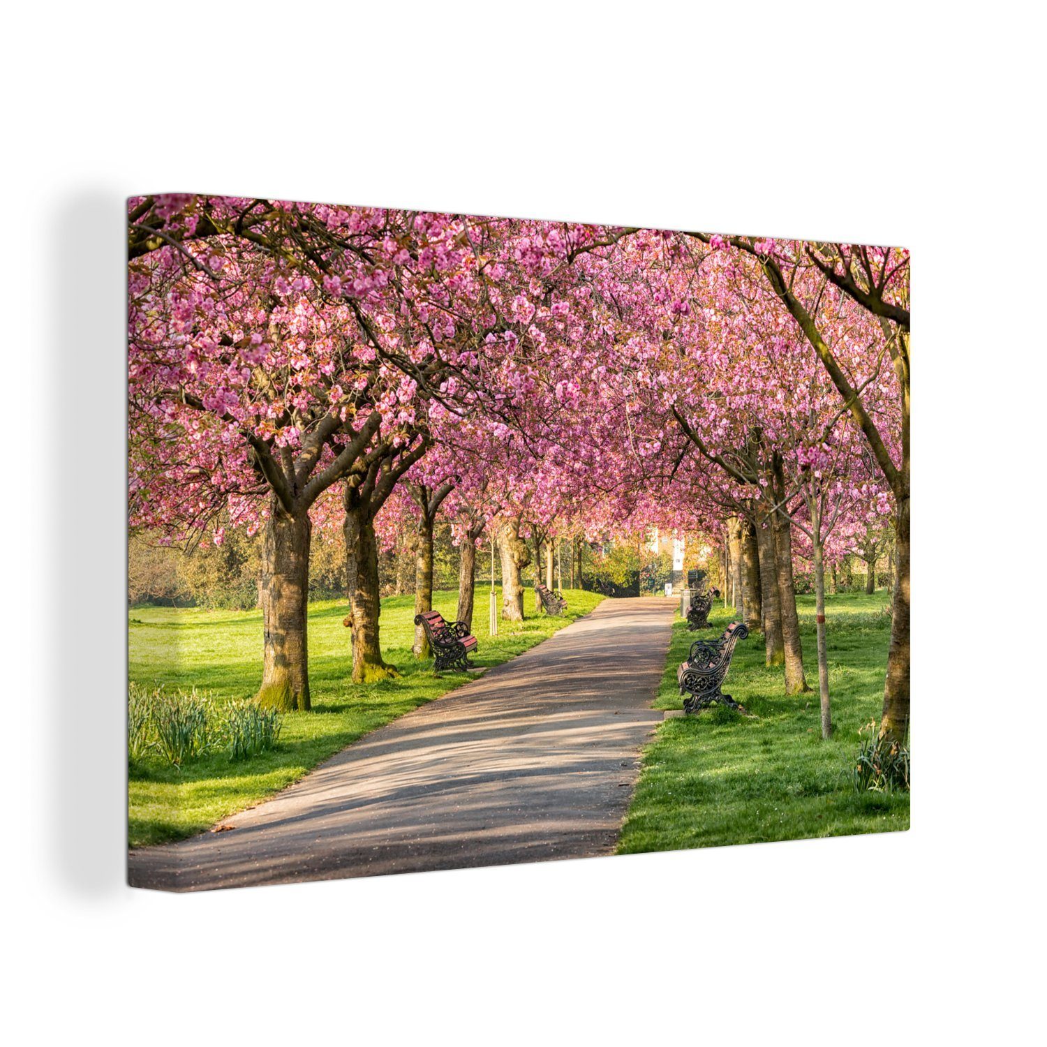 OneMillionCanvasses® Leinwandbild Bäume - Blüte - Rosa, (1 St), Wandbild Leinwandbilder, Aufhängefertig, Wanddeko, 30x20 cm