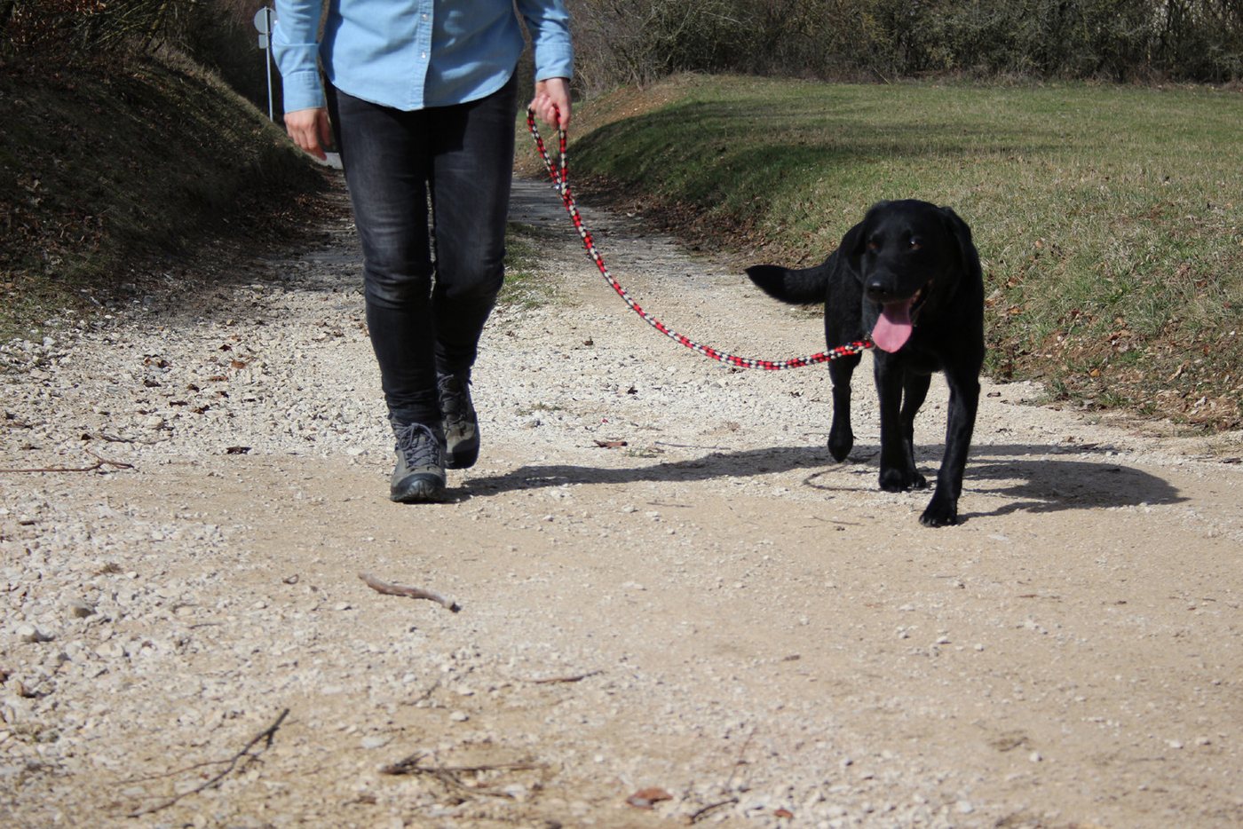 Thumbnail - Activity4Dogs Hundeleine große Hunde, mehrfarbig geflochten, 1,2 m lang, mit Schlaufe, ohne Naht, Qualität aus Deutschla...