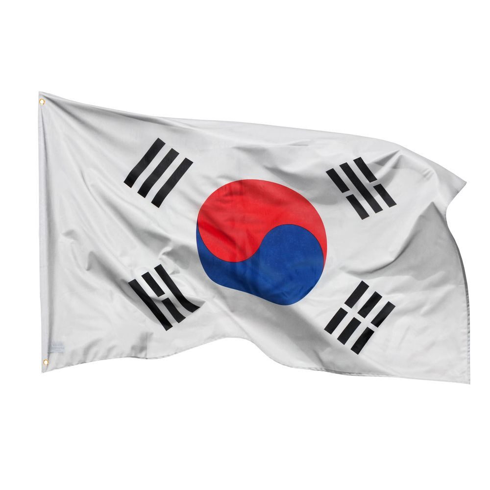 PHENO FLAGS Flagge Südkorea Flagge 90 x 150 cm Süd Korea Fahne Südkoreanische (Hissflagge für Fahnenmast), Inkl. 2 Messing Ösen