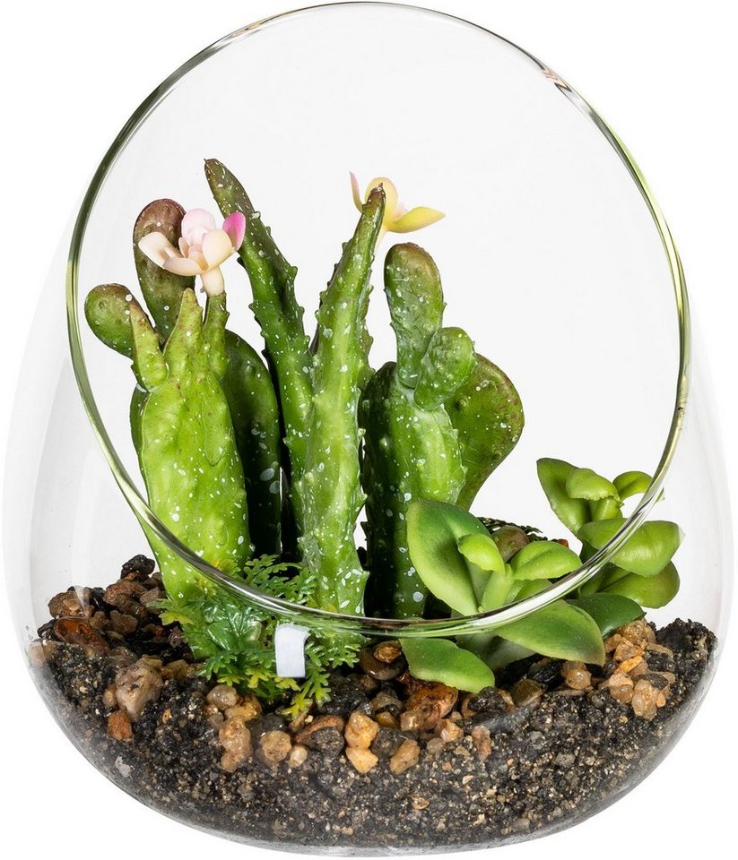 Kunstpflanze Stourton Sukkulente, Home affaire, Höhe 13,5 cm, in Glasvase,  2er Set