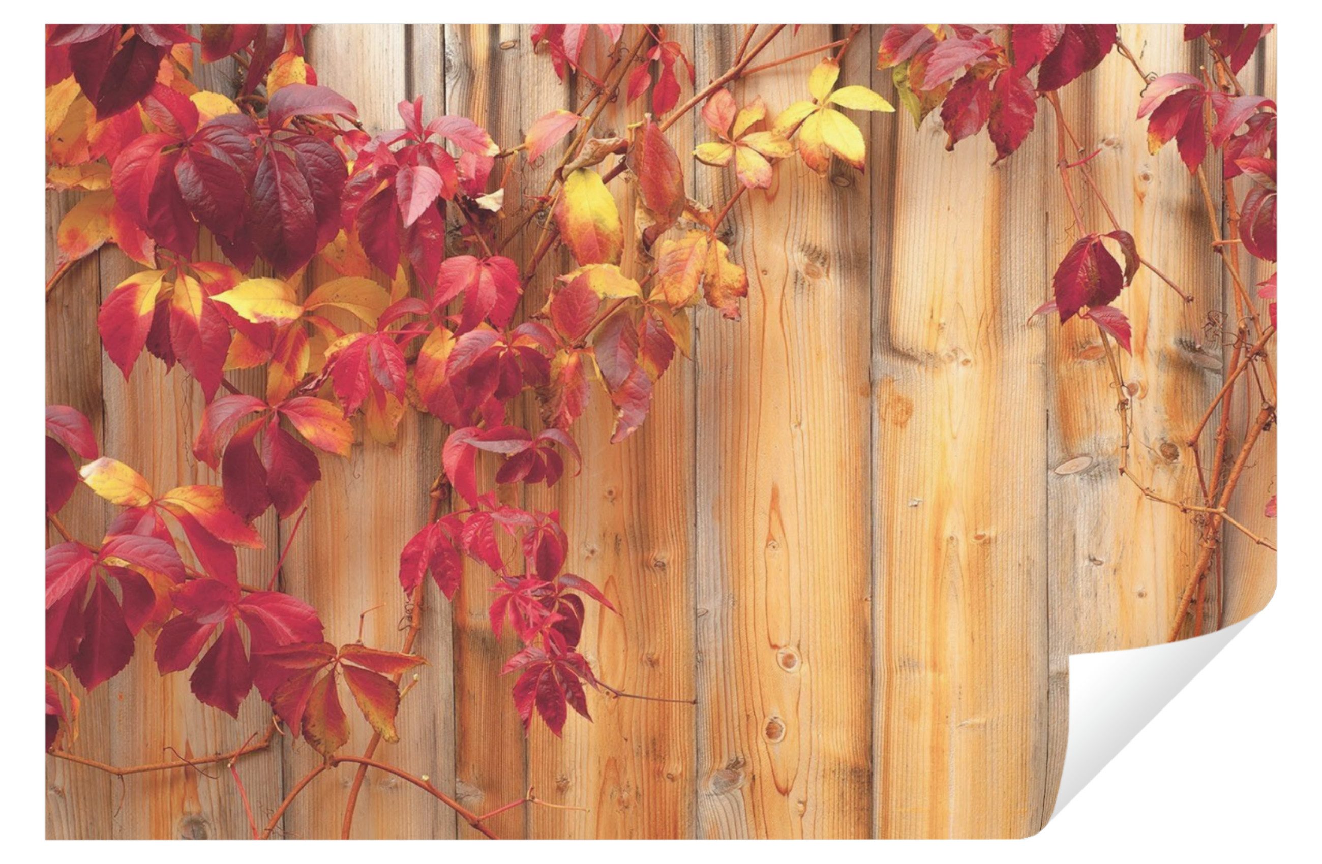 Fototapete Holz Blätter Vlies Tapete Wohnzimmer Schlafzimmer Wandtapete 208x146