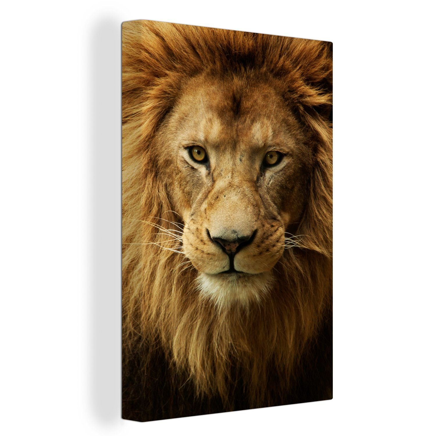 OneMillionCanvasses® Leinwandbild Porträt - Afrika - günstig online kaufen