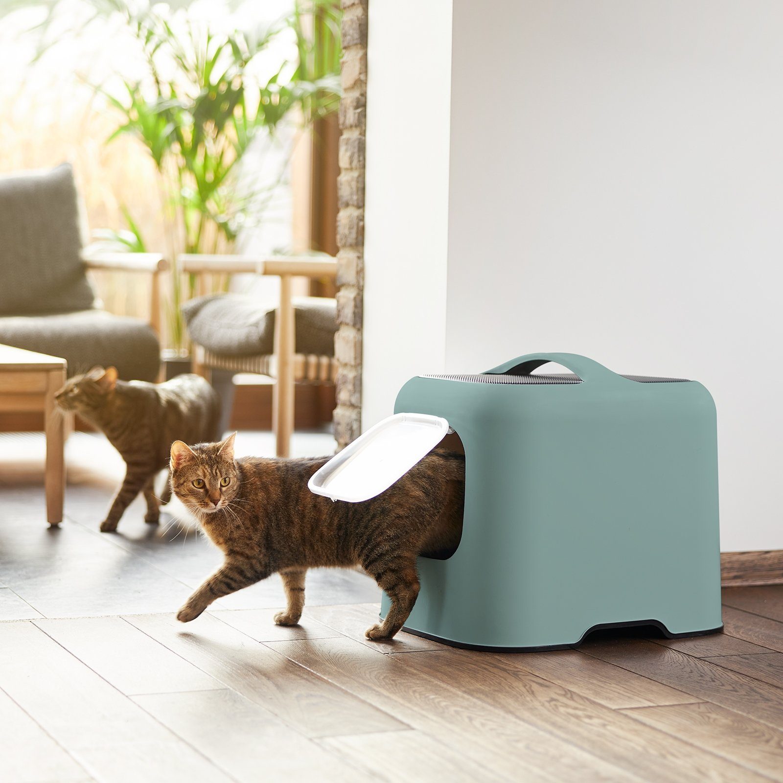 ROTHO Katzentoilette MyPet BIALA modernes Katzenklo mit Haube und Schaufel