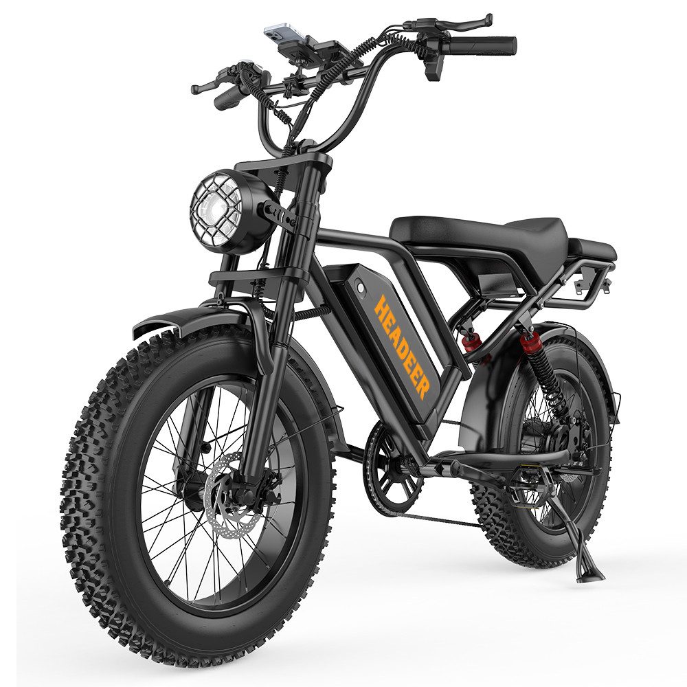 WHEELYOU E-Bike Mountainbike Herren u. Damen E-Fatbike 20 Zoll 250W 960Wh 80km Scheibenbremse, Kettenschaltung, Heckmotor, 960 Wh, (Beleuchtungsset mit Batterieladegerät, Batterieschlüssel, Werkzeug), Scheibenbremse Vollfederung LCD-Display 150kg Zuladung 39,5kg