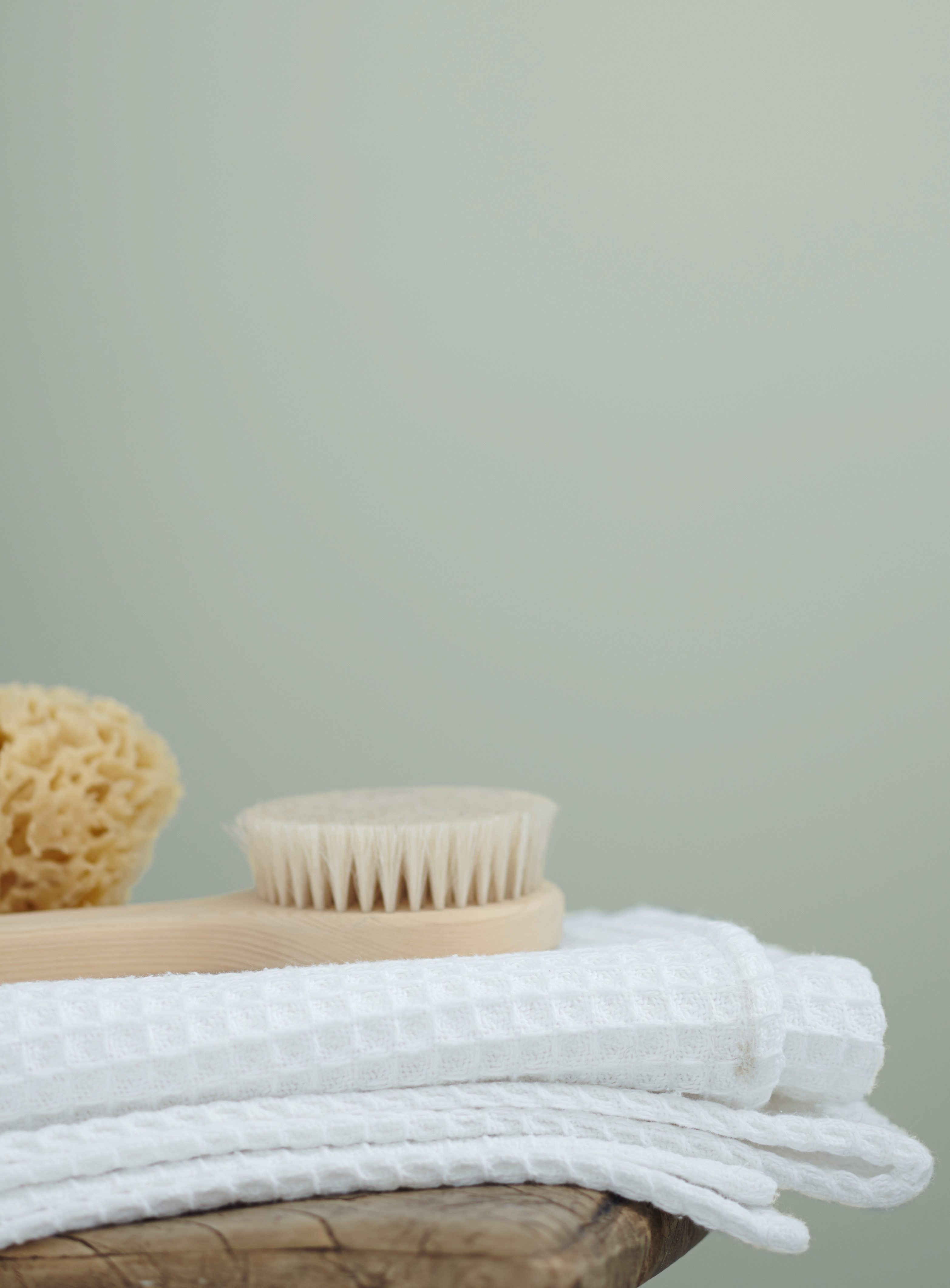 Alpina Wandfarbe - SET - Feine Farben Wandfarbe 2,5L + Lack 750ml edelmatt