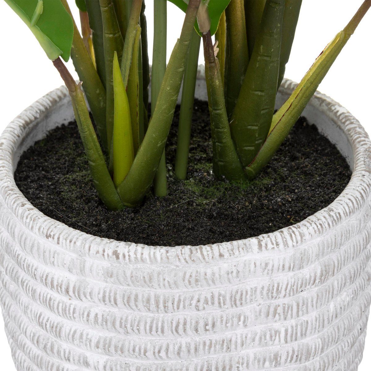 Kunstpflanze Zimmerpflanze, Atmosphera Créateur d'intérieur, Höhe günstig online kaufen