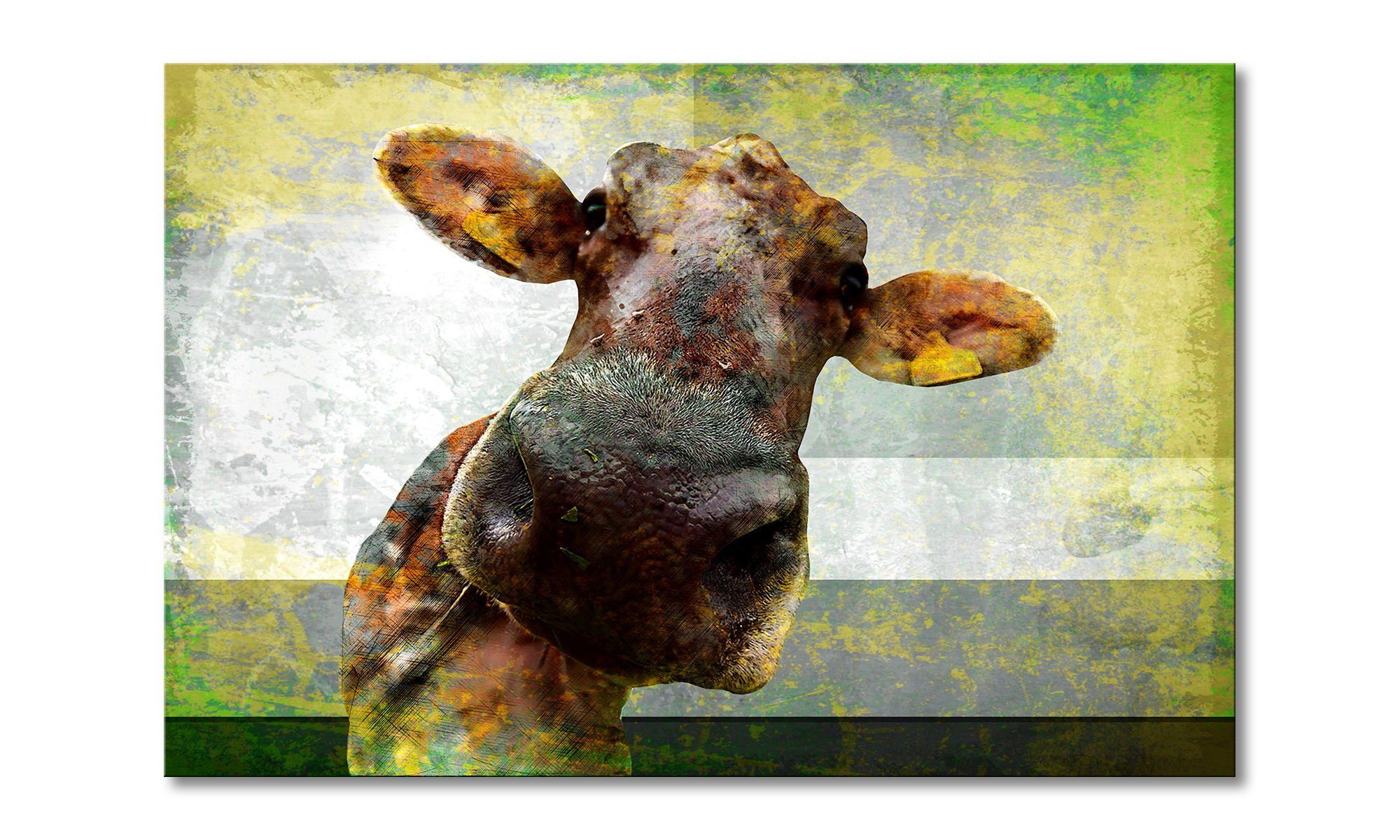 Leinwandbild Cow Nose