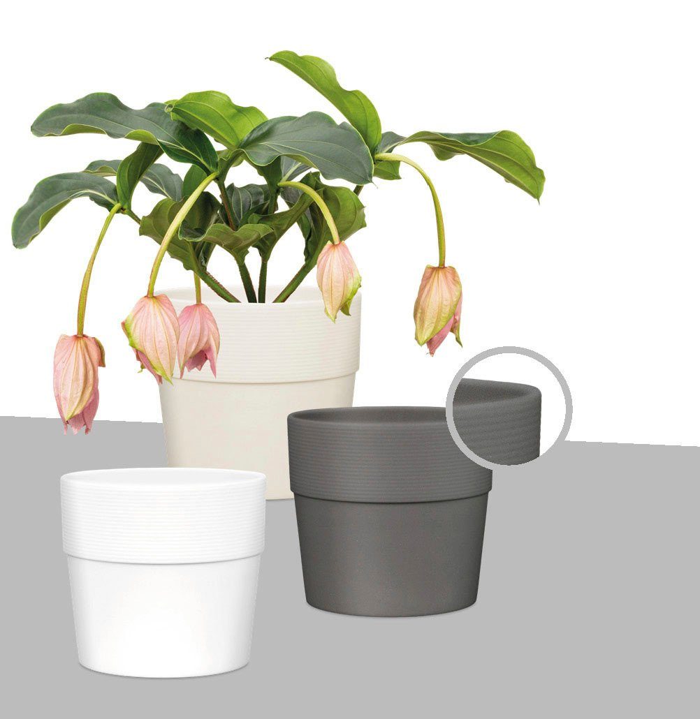 Scheurich Blumentopf BIANCO 40/224, ØxH: 38x35,2 günstig online kaufen