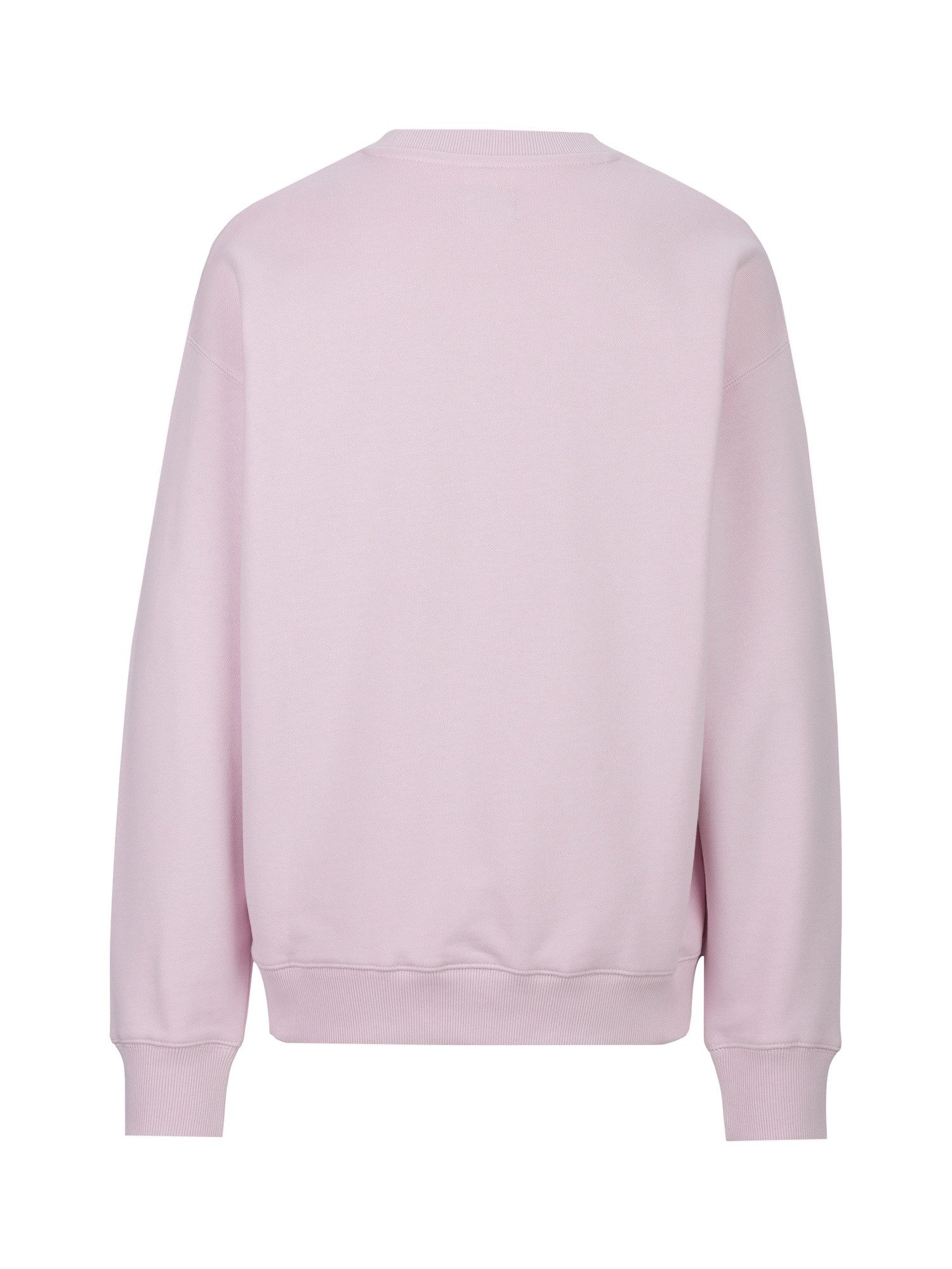 Replay Sweatshirt Big Not Ordinary günstig online kaufen
