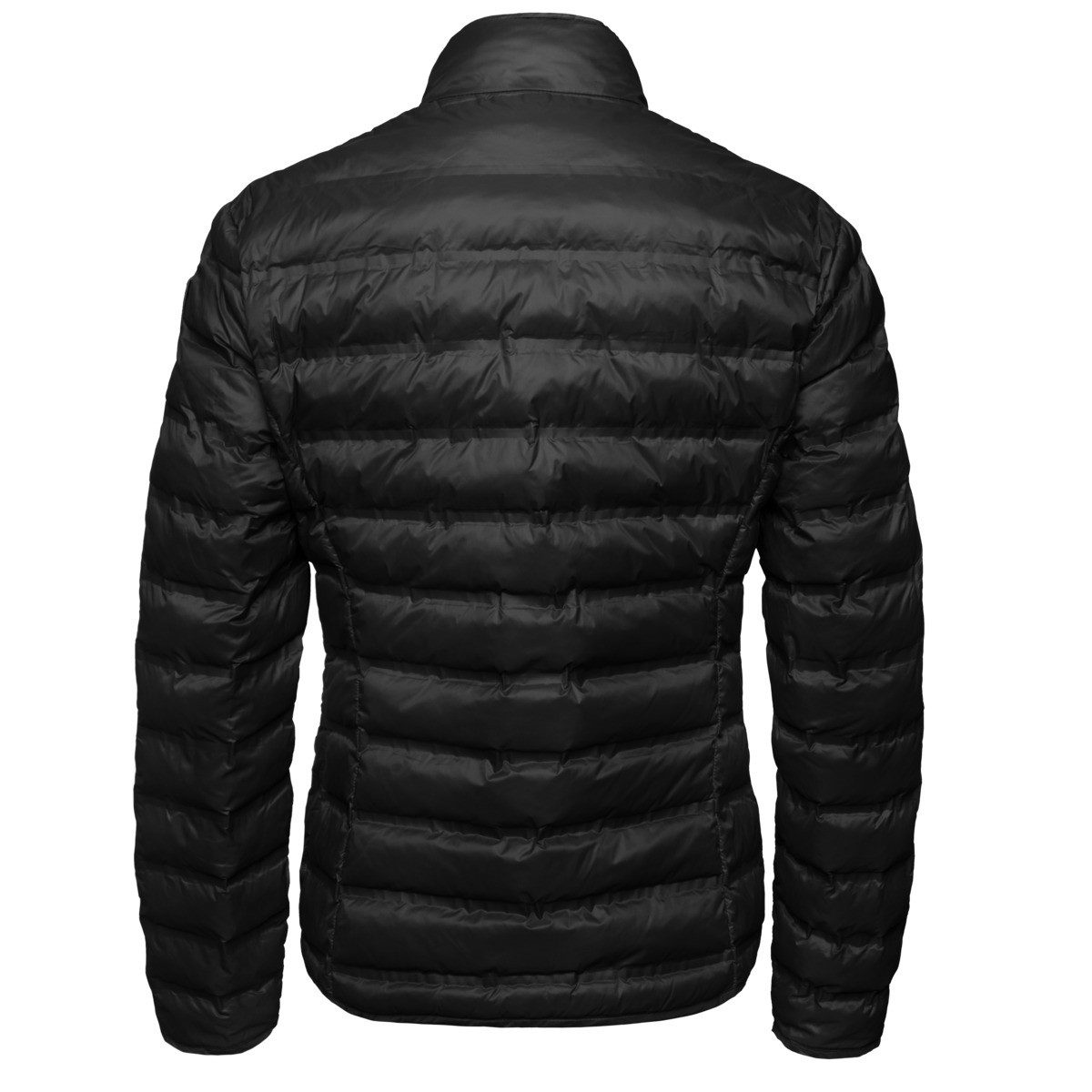 Blauer Steppjacke Moon Damen günstig online kaufen