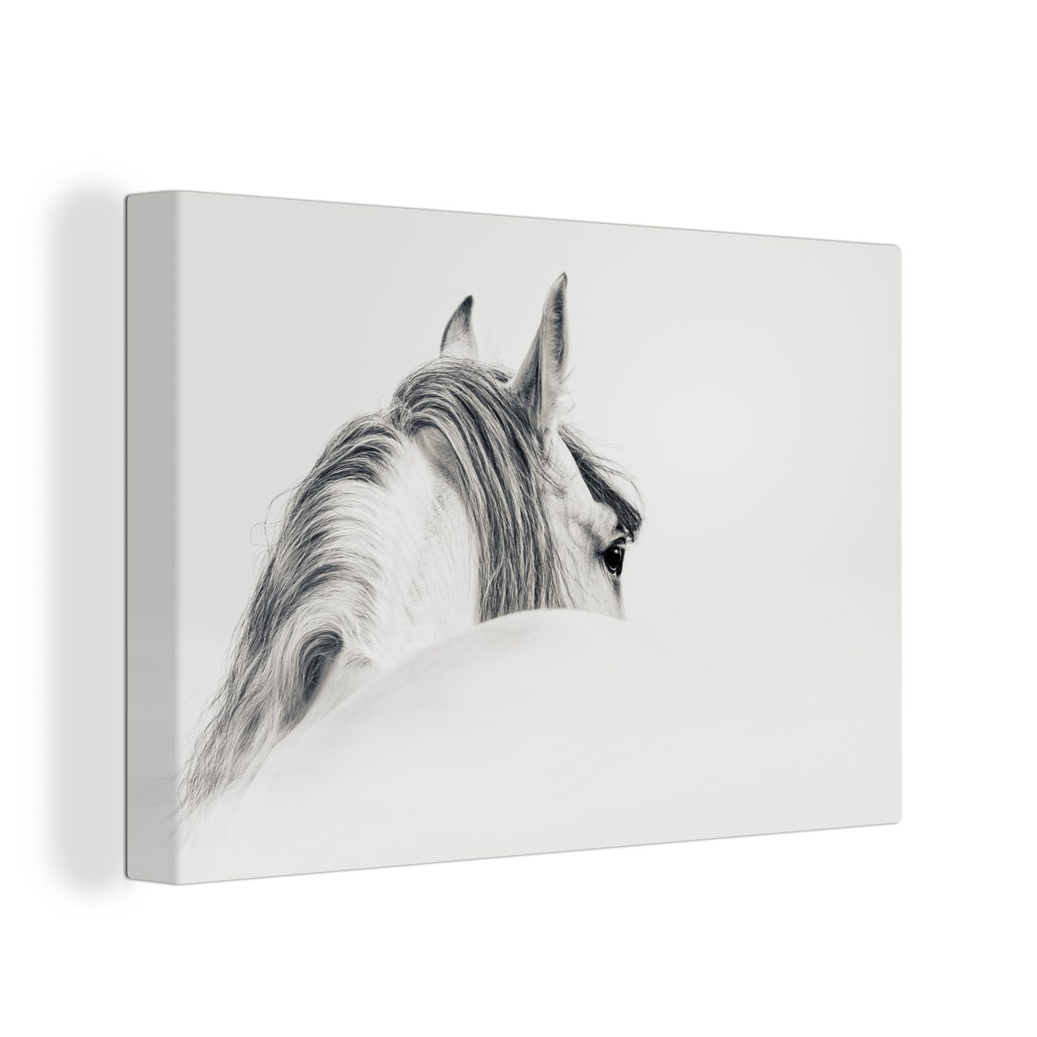 OneMillionCanvasses® Leinwandbild Pferd - Weiß - Grau, (1 St), Wandbild Leinwandbilder, Aufhängefertig, Wanddeko, 30x20 cm
