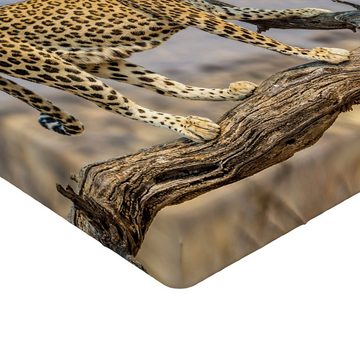 Spannbettlaken Soft Dekorativer Stoff Bettwäsche Rund-um Elastischer Gummizug, Abakuhaus, Leopard Unscharfer Hintergrund Fierce