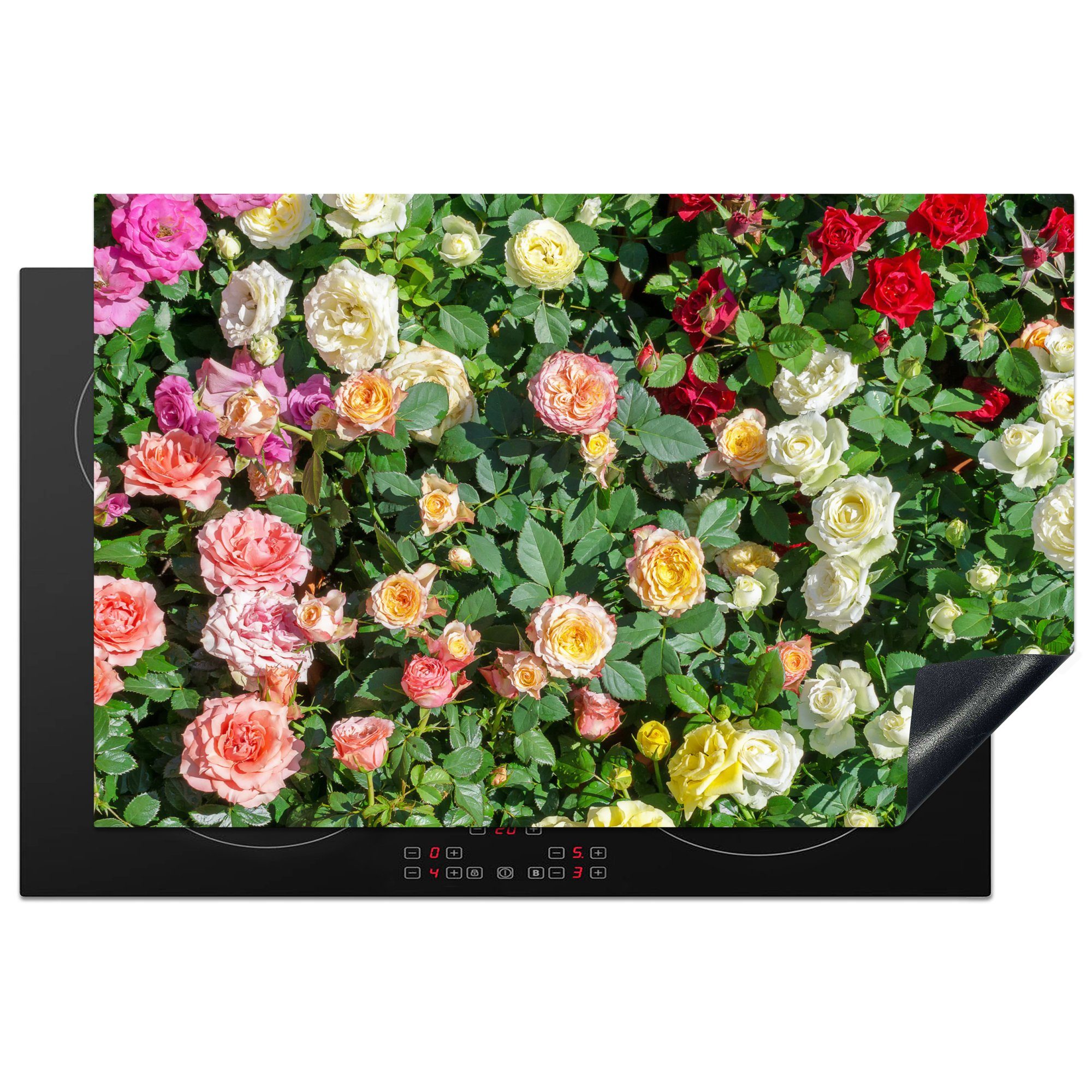 MuchoWow Herdblende-/Abdeckplatte Rosen - Strauch - Farben, Vinyl, (1 tlg), 81x52 cm, Induktionskochfeld Schutz für die küche, Ceranfeldabdeckung