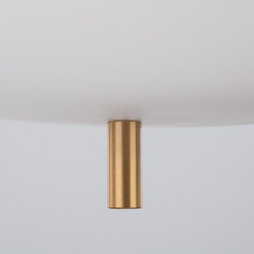 Nova Luce Hängeleuchte Pendelleuchte Lato in Weiß und Gold E27 300mm, keine Angabe, Leuchtmittel enthalten: Nein, warmweiss, Hängeleuchte, Pendellampe, Pendelleuchte
