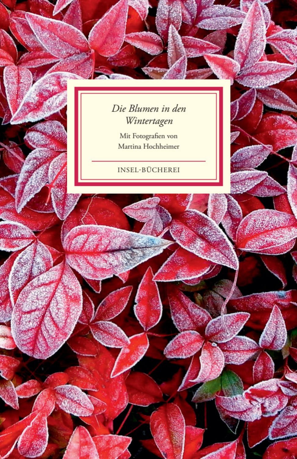 Die Blumen in den Wintertagen / diverse