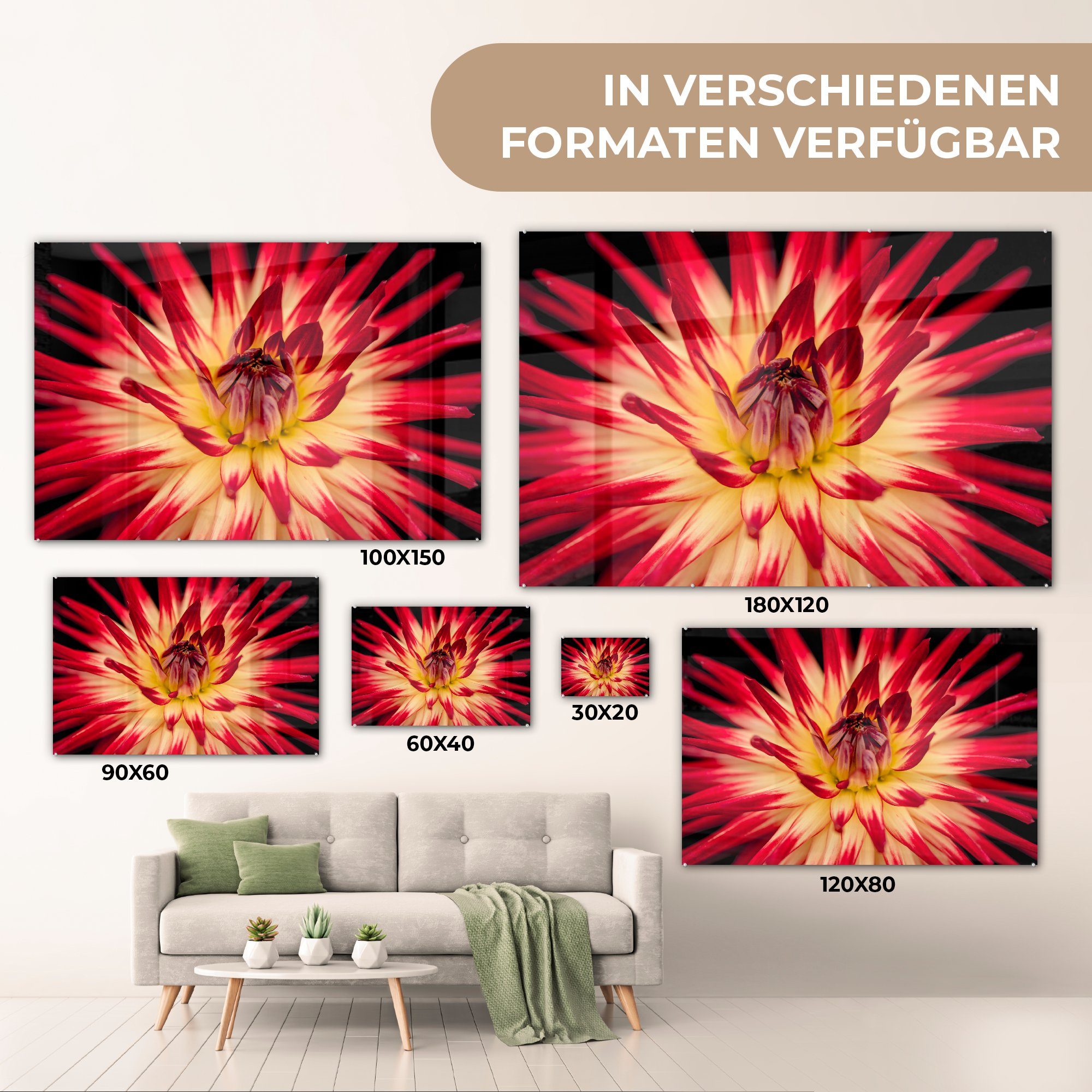 - (1 St), Blumen Makro, - MuchoWow Acrylglasbilder & Schlafzimmer Natur Acrylglasbild Wohnzimmer