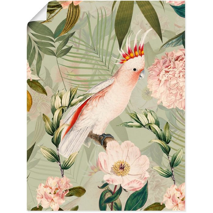 Artland Wandbild Vintage Papagei Vogelbilder (1 St) als Alubild Leinwandbild Wandaufkleber oder Poster in versch. Größen