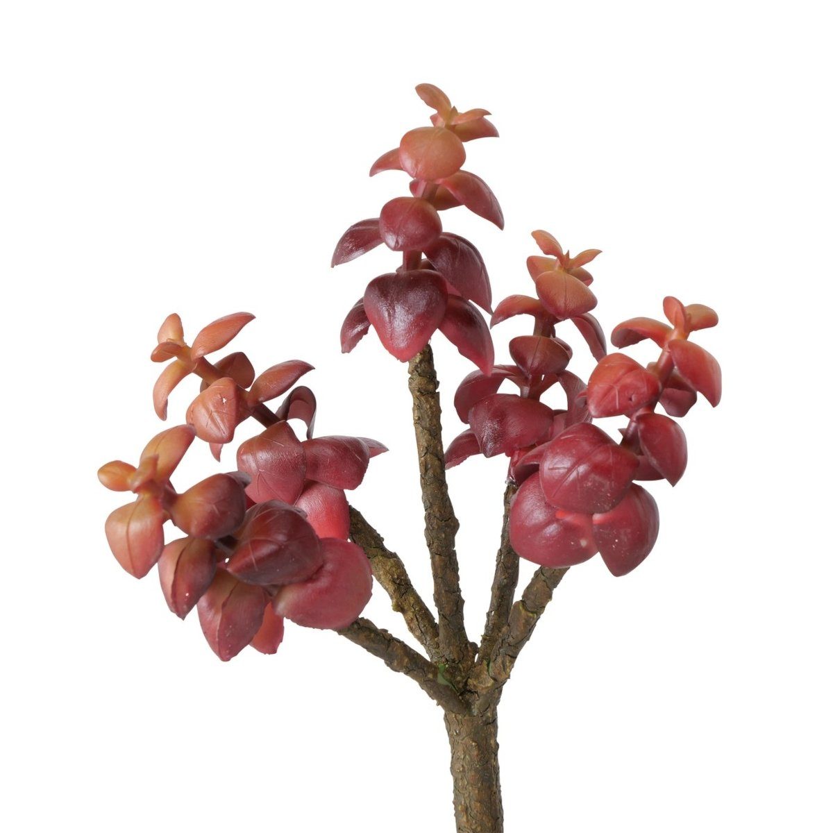 Kunstpflanze Stielblume Sukkulente 1 Stück, BOLTZE, Höhe 0 cm