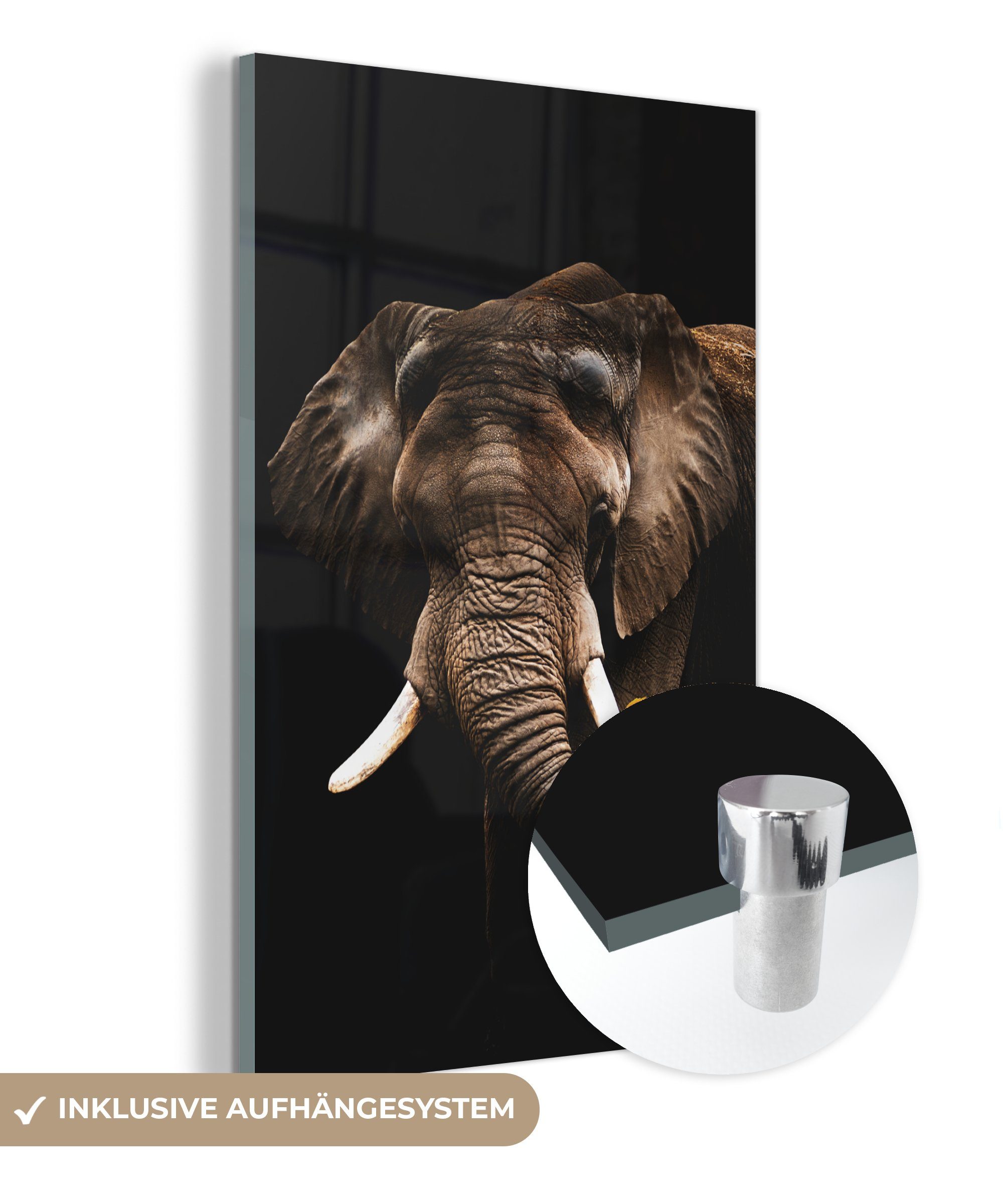 MuchoWow Acrylglasbild Elefant - Schwarz - Papagei, (1 St), Glasbilder - Bilder auf Glas Wandbild - Foto auf Glas - Wanddekoration bunt