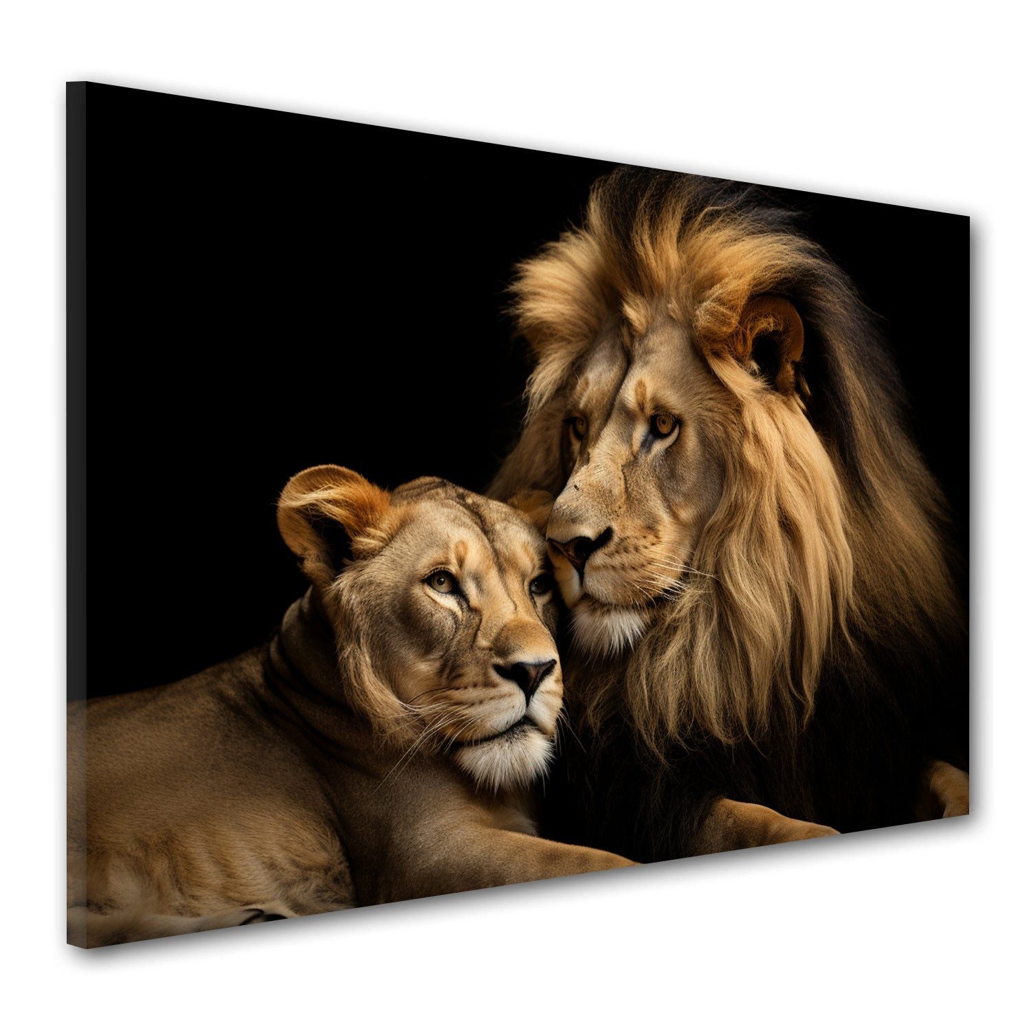 Artedinoi Leinwandbild Beautiful Lions Löwen Wandbild Leinwandbild Kunstdru günstig online kaufen