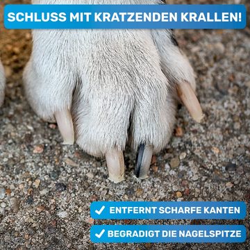 BluePet Krallenschleifer Krallenfeile, zur Entfernung scharfer Kanten & optimalen Krallenpflege