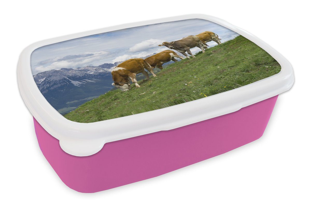 Landschaft Lunchbox Erwachsene, Kunststoff, rosa Kinder, Kühe Österreich, (2-tlg), - für Brotdose Brotbox Kunststoff MuchoWow Snackbox, - Mädchen,