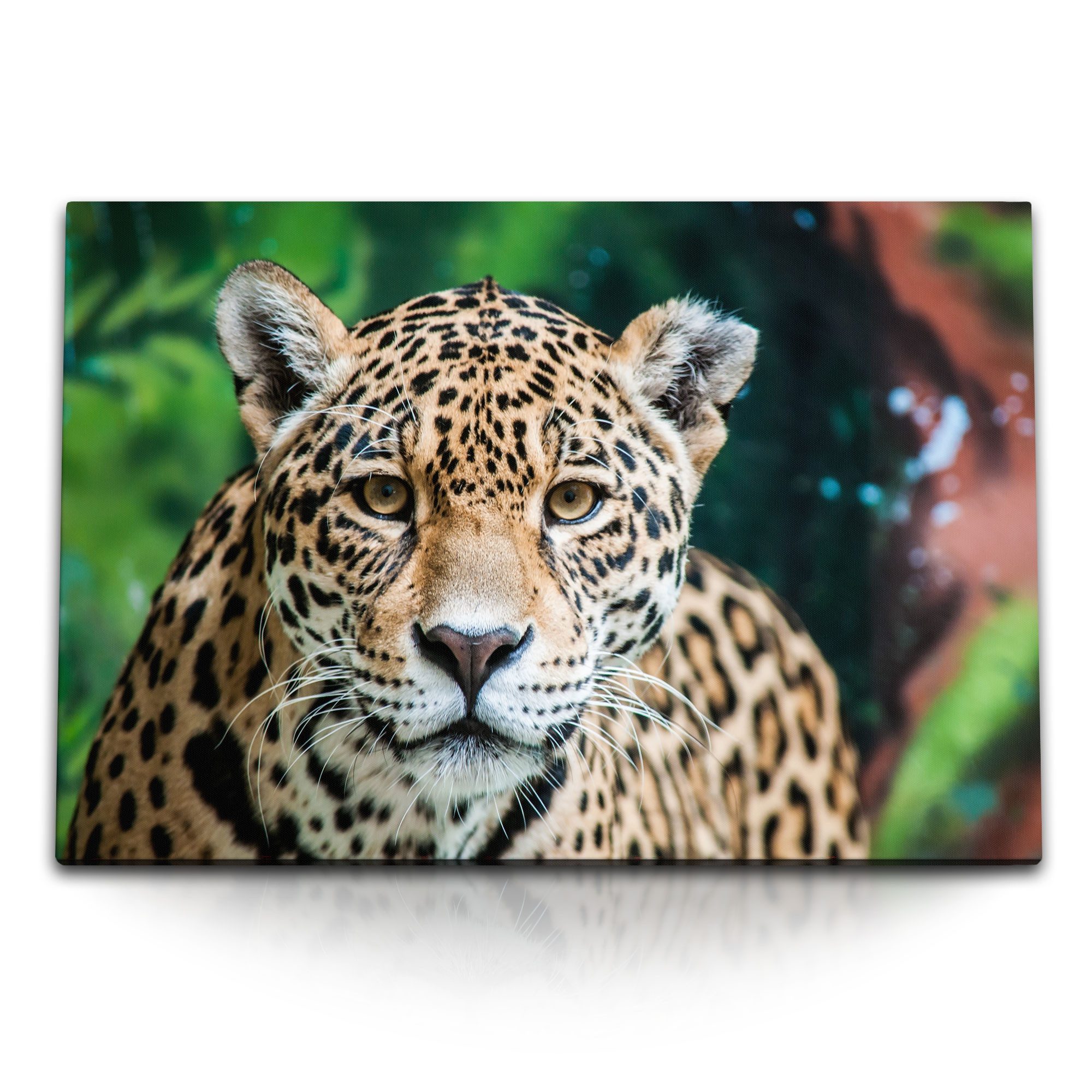 Leinwandbild 120x80cm Wandbild auf Leinwand Jaguar Leopard Raubkatze Katze Tierfoto