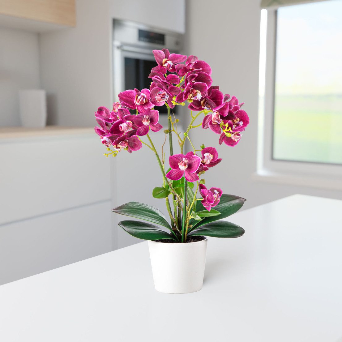Kunstorchidee PASCH® Orchidee künstlich wie echt (46cm) in Hochglanz-Keramiktopf Orchidee, PASCH, Real Touch – Bild 4 von 5