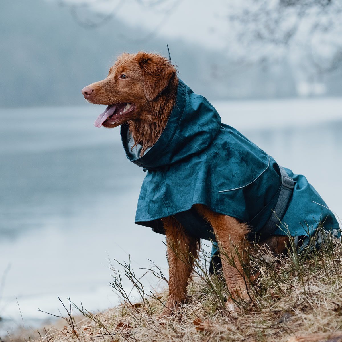 HURTTA Hunderegenmantel Monsoon Regenmantel blau