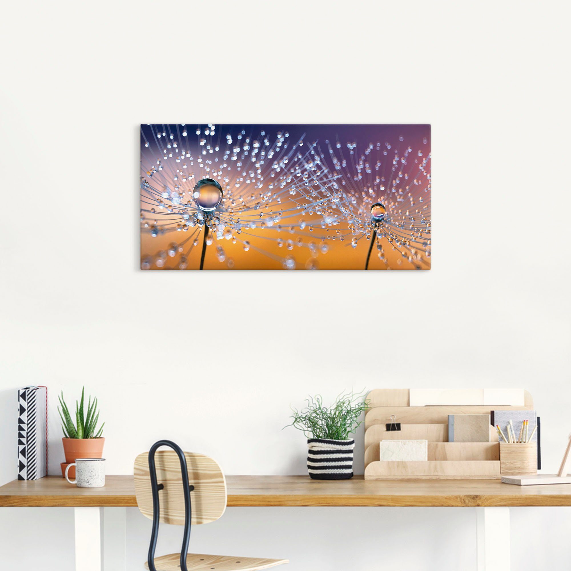 Artland Leinwandbild Pusteblumen Tautropfen, Blumenbilder (1 St), auf Holzrahmen gespannt