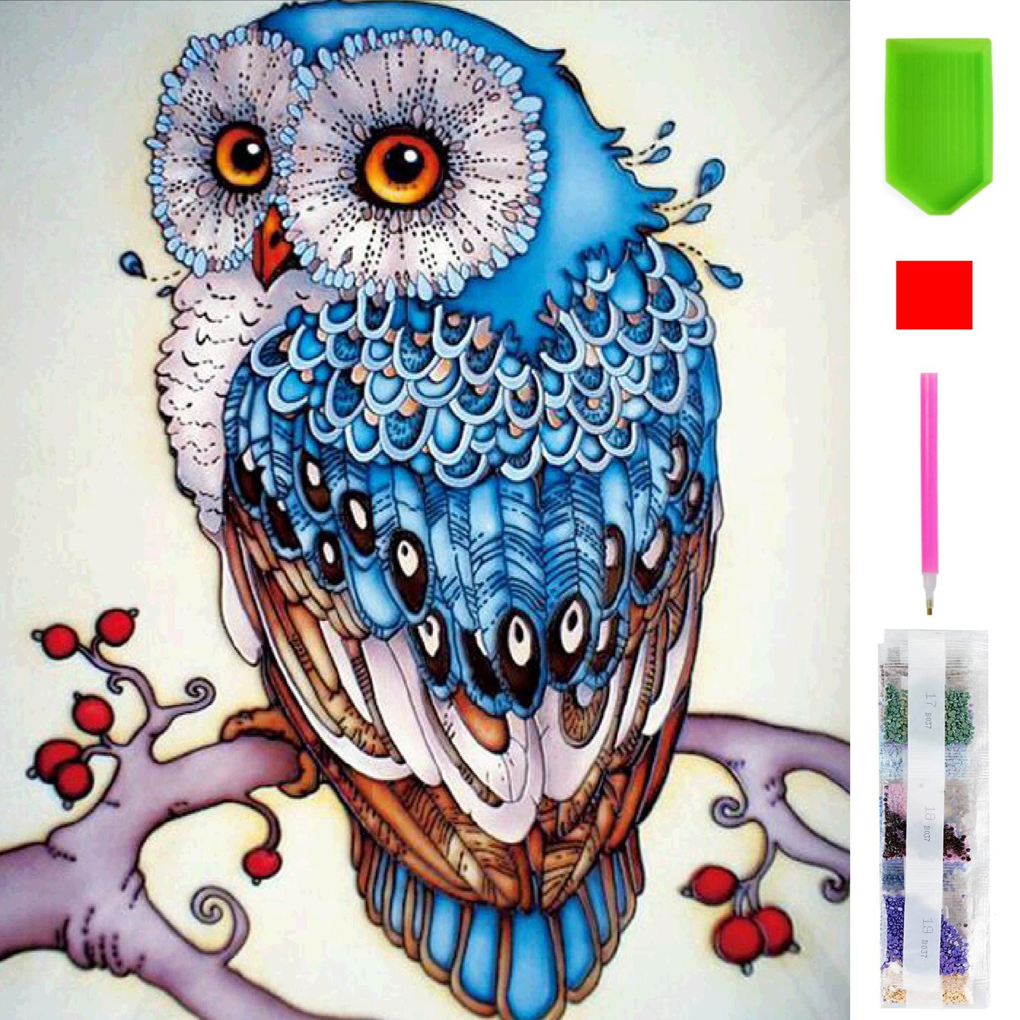 Malen nach Zahlen 5d Diamond Painting Funkelnde Eule Malen nach Zahlen 15x20cm