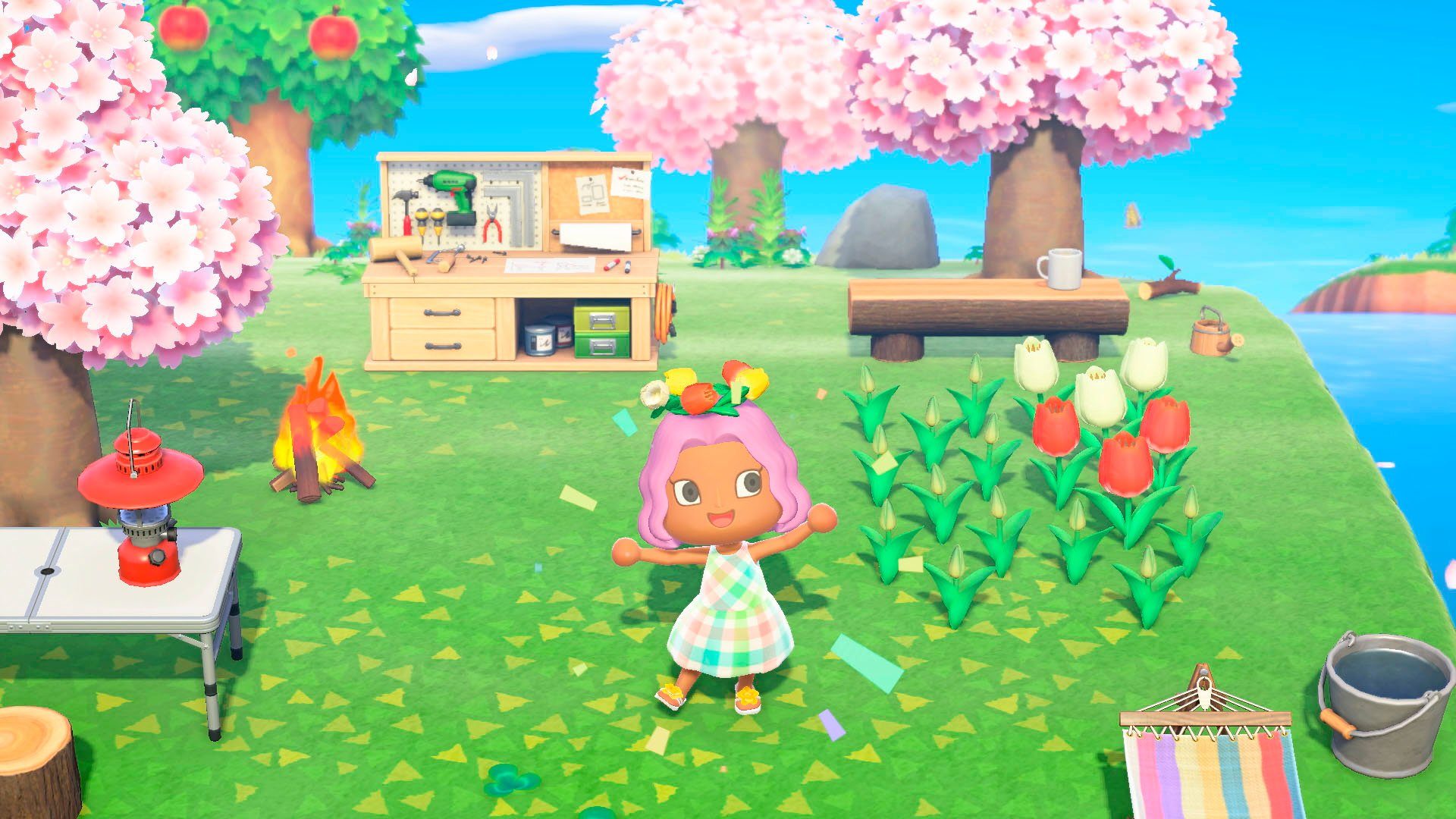 Animal Crossing New Nintendo Switch Horizons