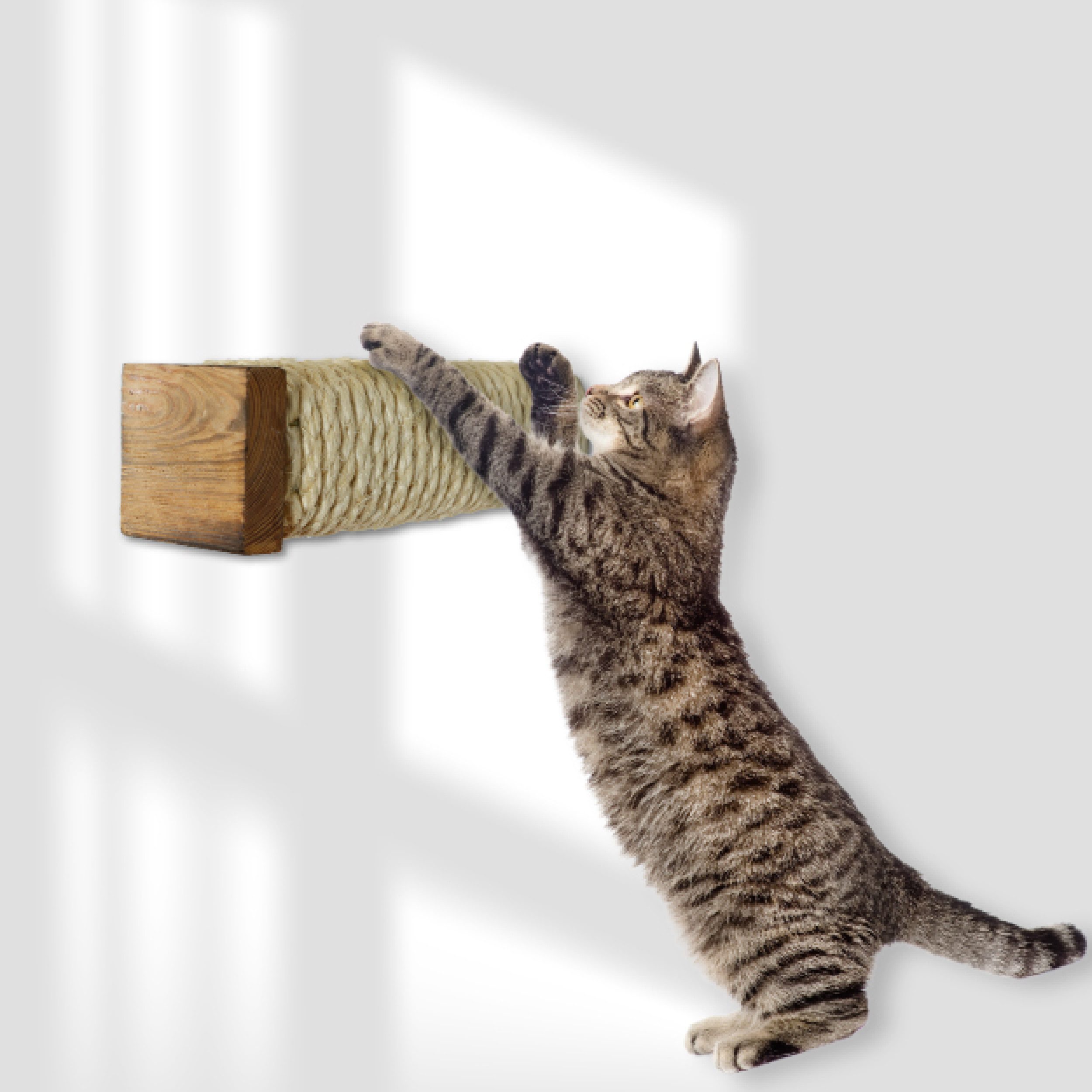 Rohrschneider Katzen-Kletterwand Katzentreppe Wand Wandelement Kratzstamm günstig online kaufen