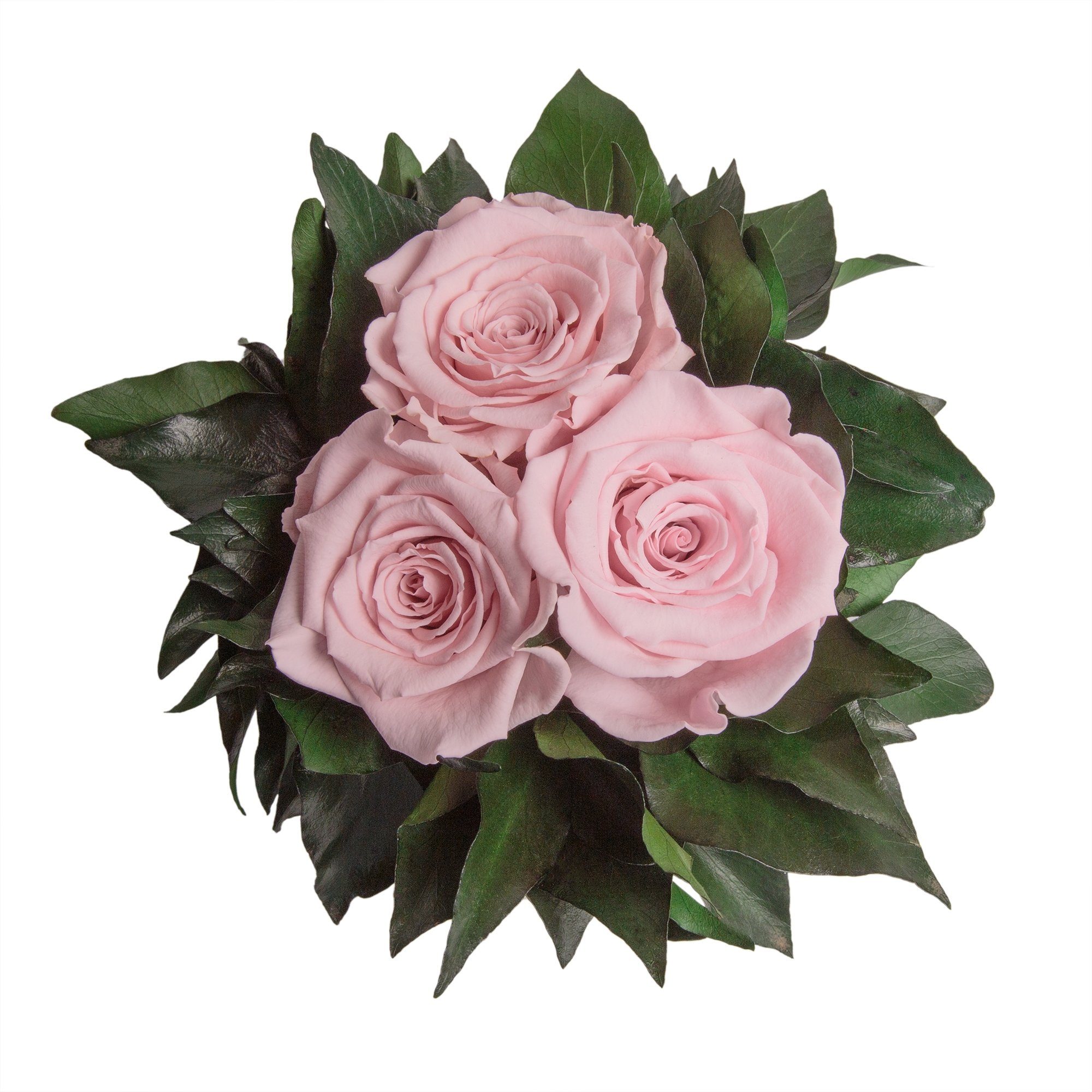 Kunstorchidee 3 Infinity Rosen silberfarbene Rosa 15 cm, Deko haltbar Blumenstrauß zu Wohnzimmer Rose Heidelberg, Rose, Vase SCHULZ ROSEMARIE bis Höhe Jahre 3