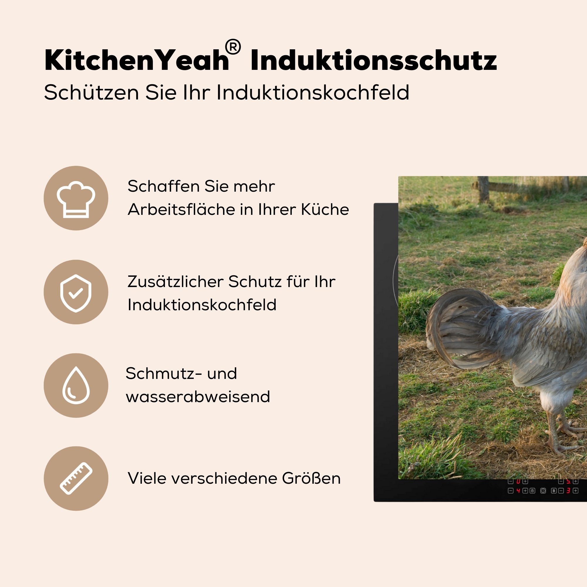 MuchoWow Herdblende-/Abdeckplatte Hahn (1 zwischen tlg), cm, Gras, im 81x52 Ceranfeldabdeckung für die küche, Schutz Vinyl, Hühnern Induktionskochfeld