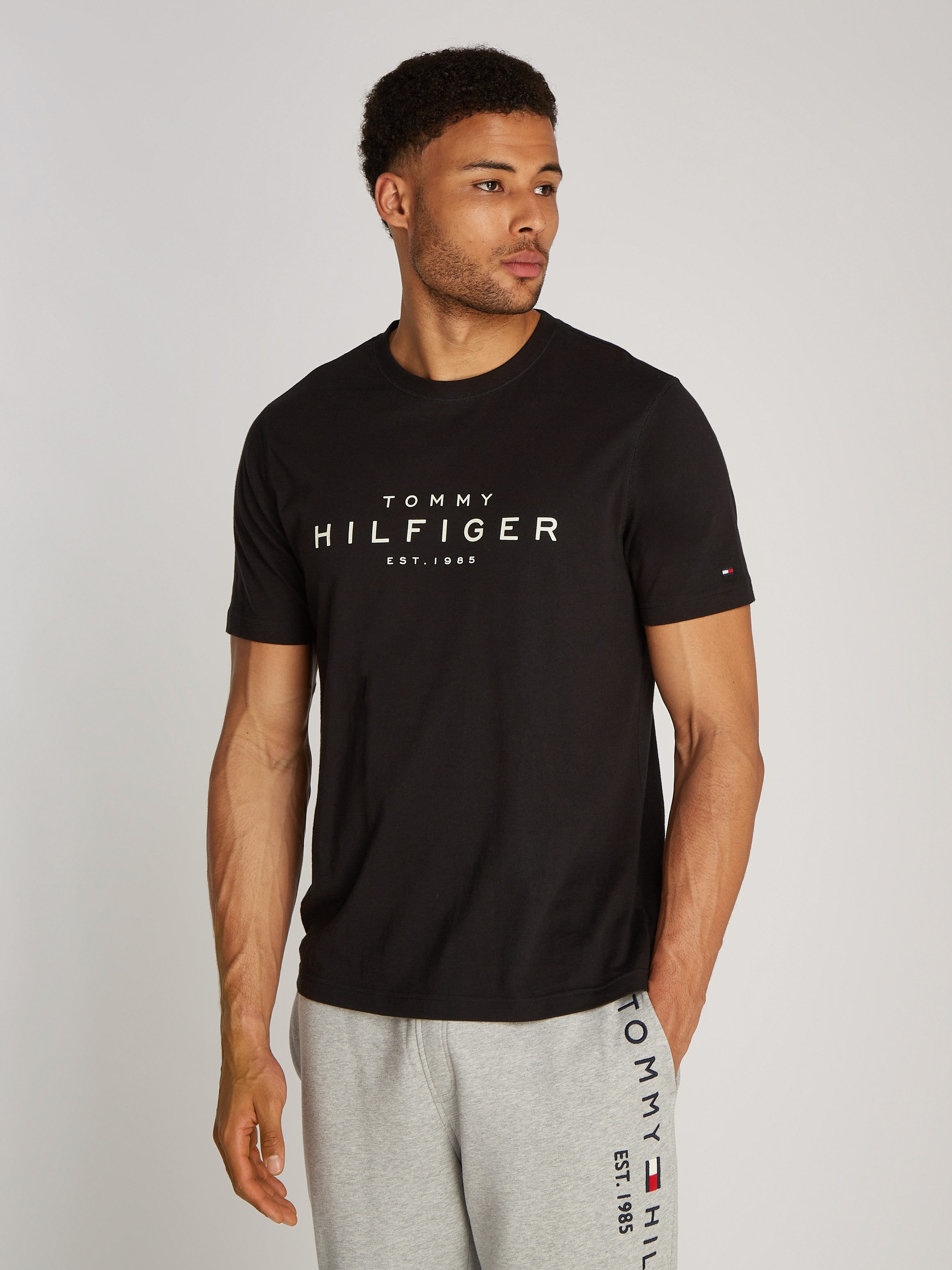 Big logo tommy hilfiger t shirt hotsell