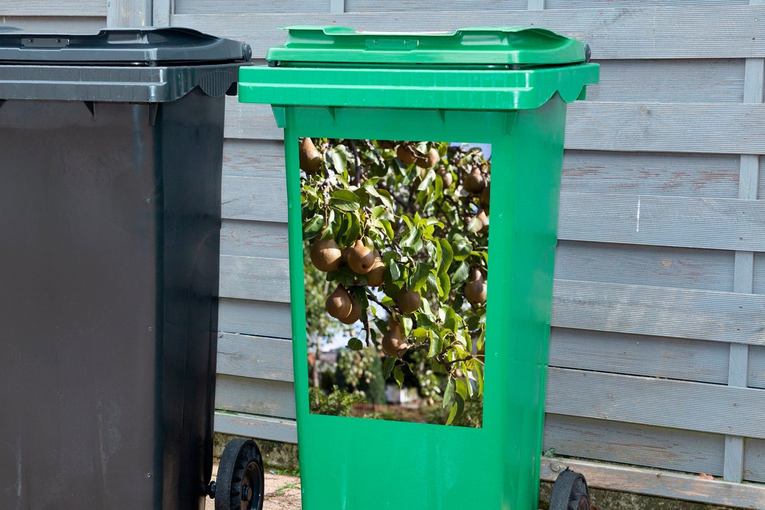 einer hängende einem Birnenfarm An Sticker, auf Mülleimer-aufkleber, Wandsticker Container, St), (1 MuchoWow Mülltonne, Gebäude Birnen Abfalbehälter