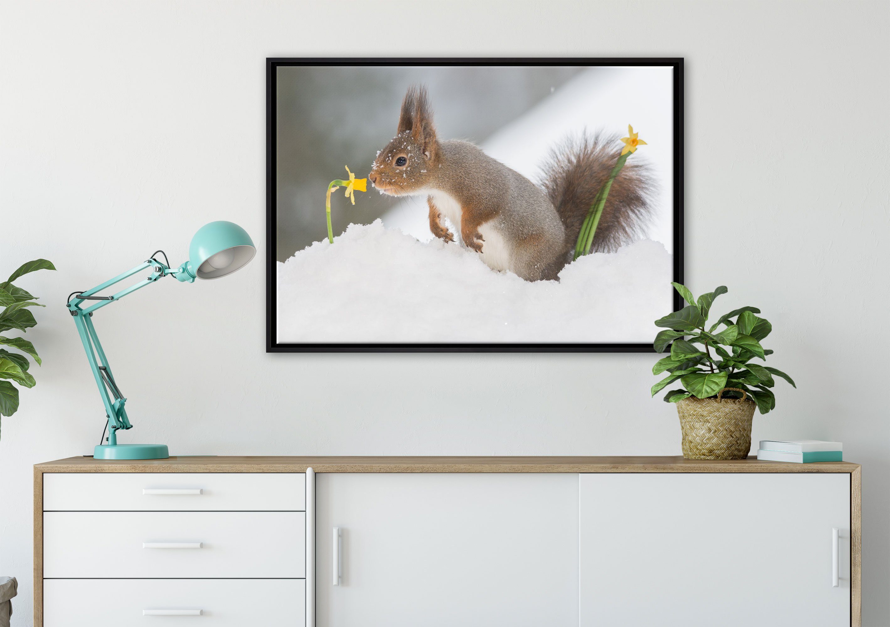 Pixxprint Leinwandbild in bespannt, Schnee, Wanddekoration gefasst, im fertig Schattenfugen-Bilderrahmen einem Leinwandbild (1 Eichhörnchen inkl. Zackenaufhänger St)