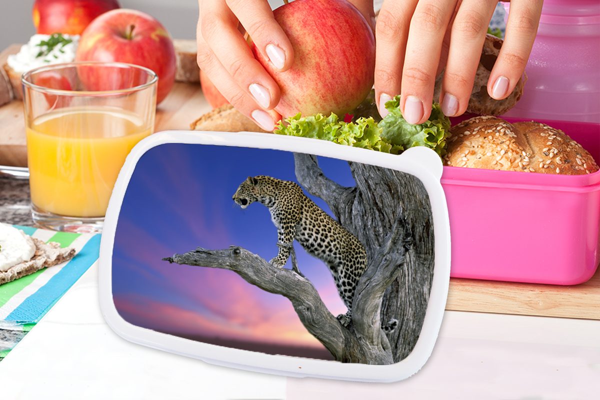 Kinder, rosa - Brotbox Mädchen, Zweig, Kunststoff für Lunchbox Baum - Kunststoff, Brotdose Snackbox, MuchoWow (2-tlg), Erwachsene, Leopard