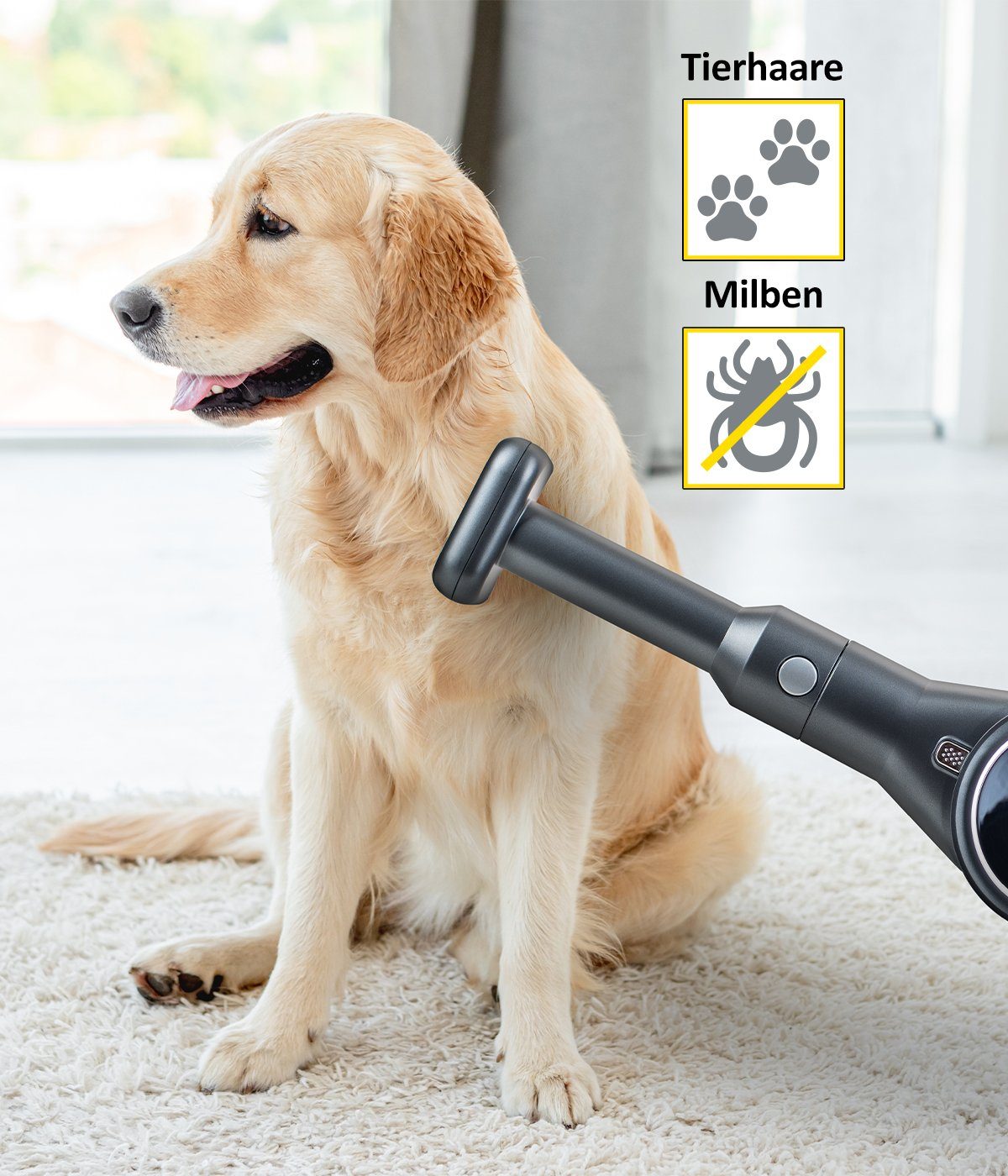 Genius Akku-Bodenstaubsauger INVICTUS X8 Tierhaarbürste, Set 2-tlg., Sanfte Fellpflege mit Tiefenreinigung