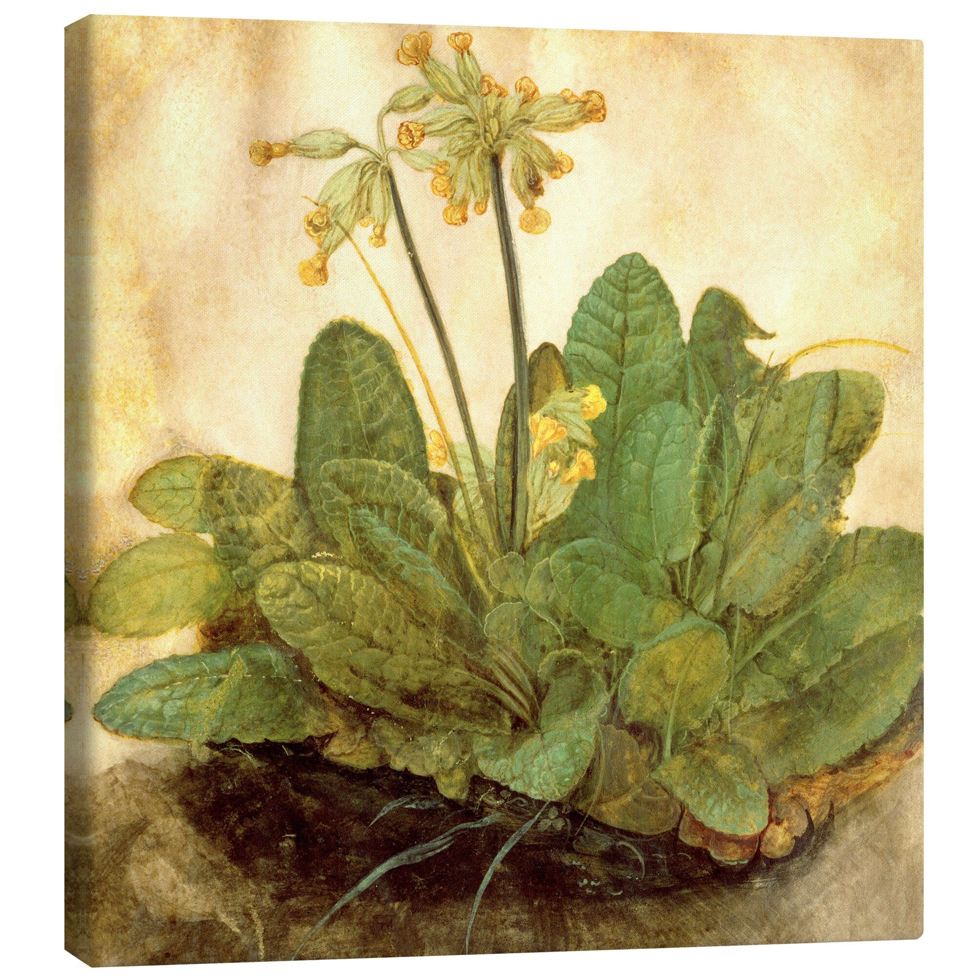 Leinwandbild Albrecht Dürer