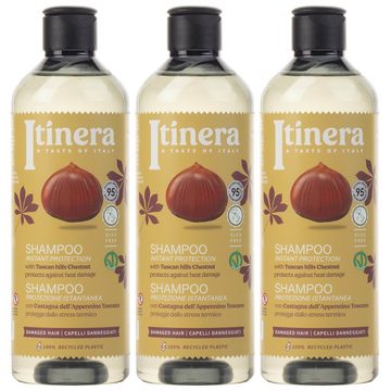 Sarcia.eu Haarshampoo ITINERA Shampoo für geschädigtes Haar, 370 ml x3, 3-tlg.