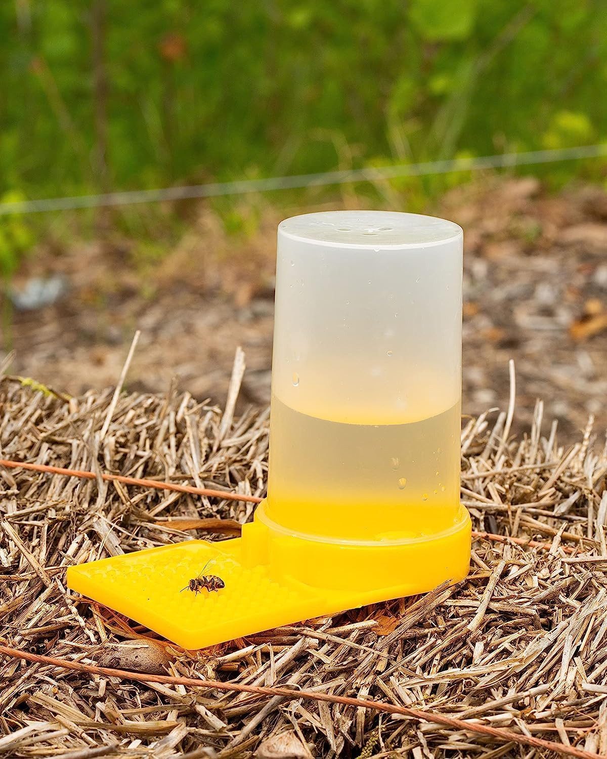 FELIXLEO Wasserspender 2 Bienentränke Kunststoff Imkerei Wasserspender Bienen Fütterung