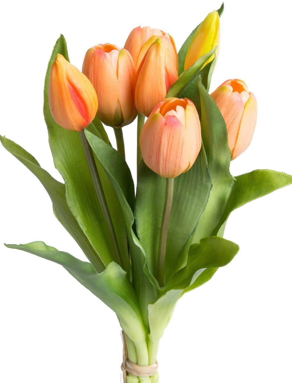 Kunstblume Willa Tulpe, Botanic-Haus, Höhe 32 cm, Tulpenbündel im 7er-Set günstig online kaufen