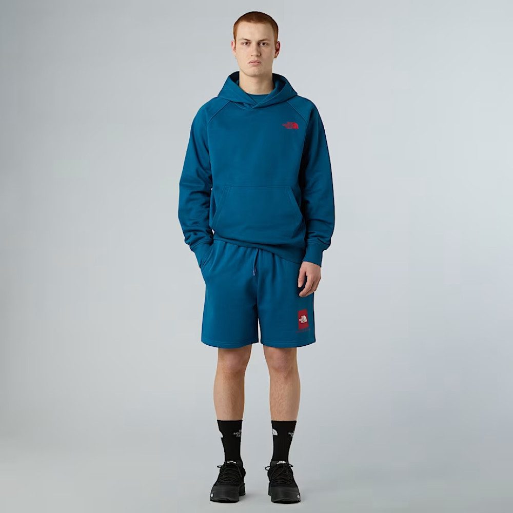 The North Face Hoodie RAGLAN BOX NSE REGULAR HOODIE - Kapuzenpullover - Pul günstig online kaufen